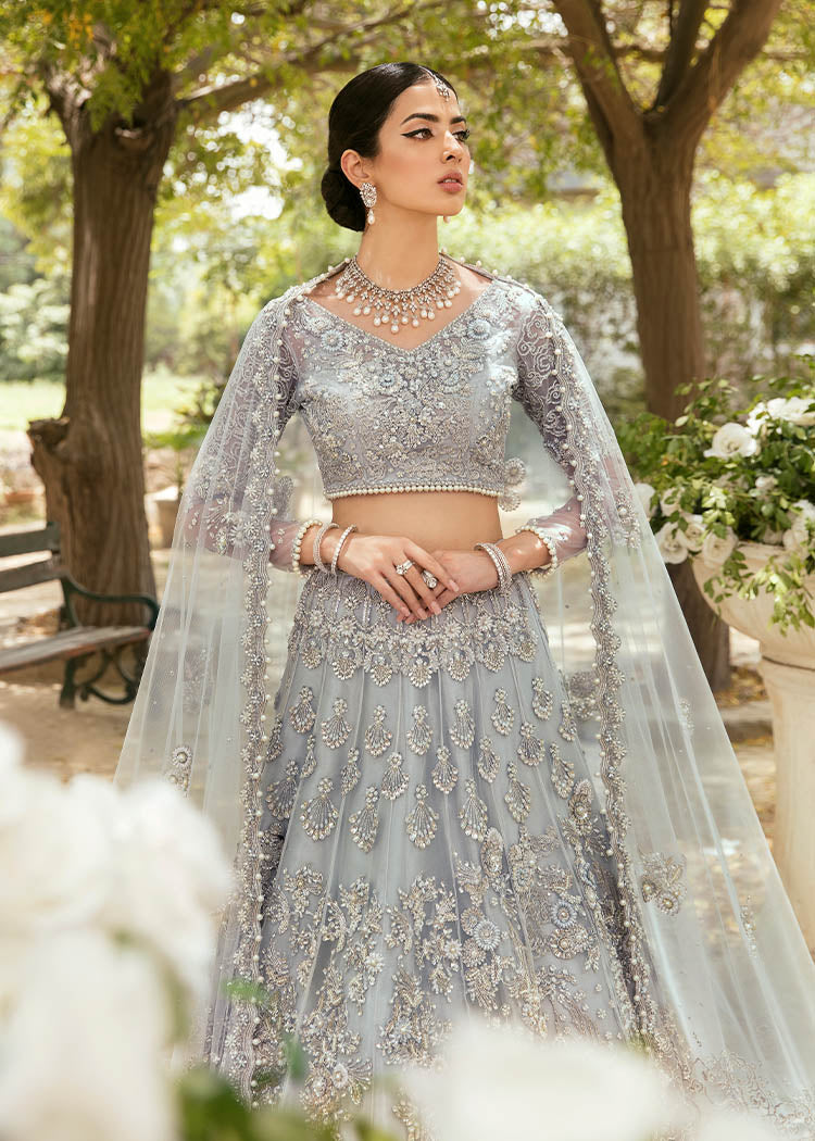 Pakistani Cloudy Grey Crystal Embellished Net Lehenga Choli (3-Piece) - Image 9