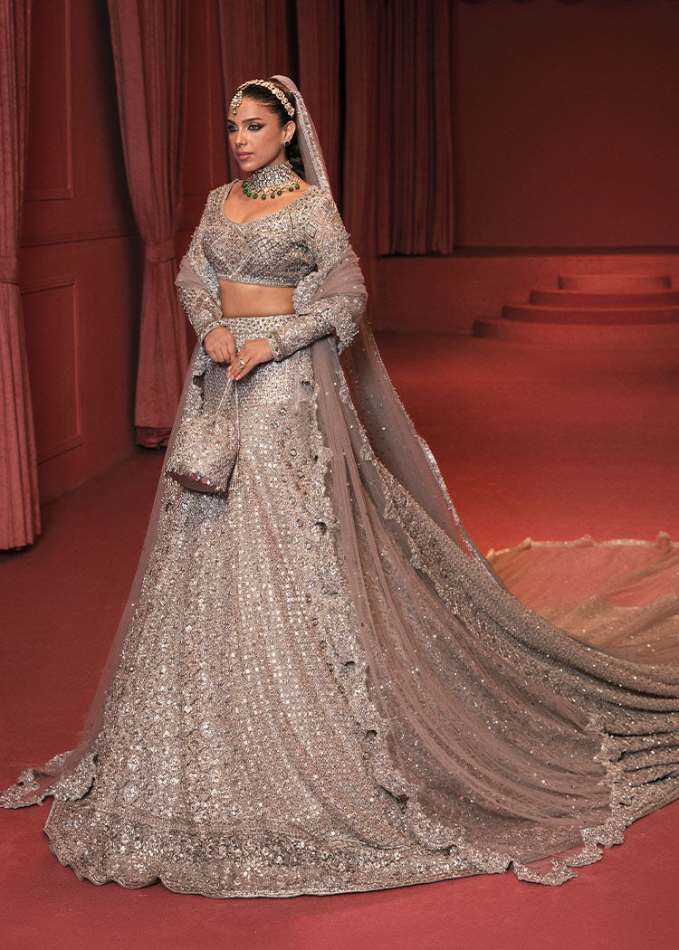 Grey Embellished Net Tailed Lehenga and Choli (3-Piece) - Image 1