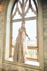 Indian Ash Grey Embroidered Net Lehenga Set (3-Piece) - Image 3
