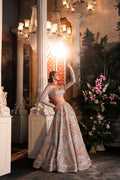 Pakistani Steel Grey Zardozi Net Lehenga Choli (3-Piece) - Image 3