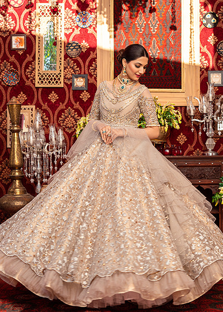 Grey Hand-Embroidered Net Pishwas (2-Piece) - Image 1