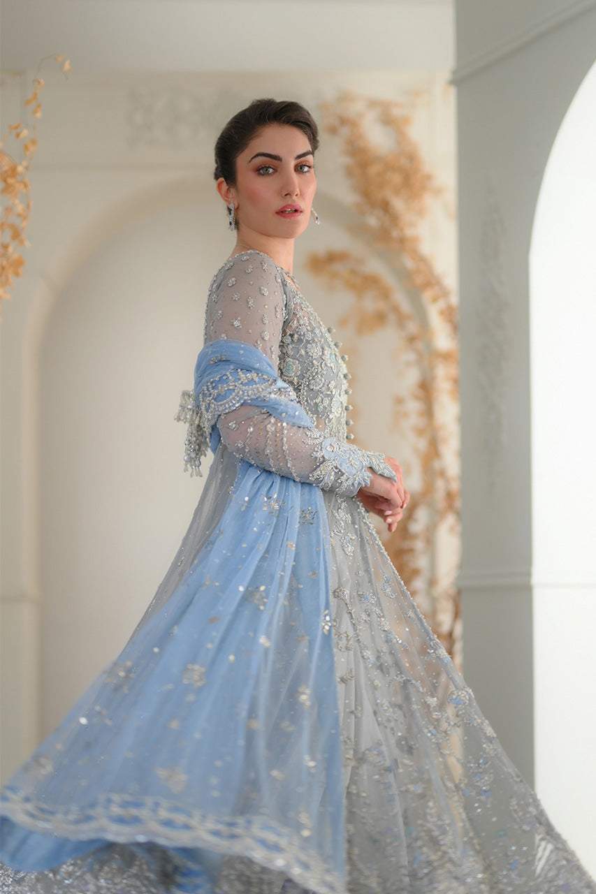 Pakistani Grey Zardozi Kaamdaani Net Pishwas (3-Piece) - Image 3