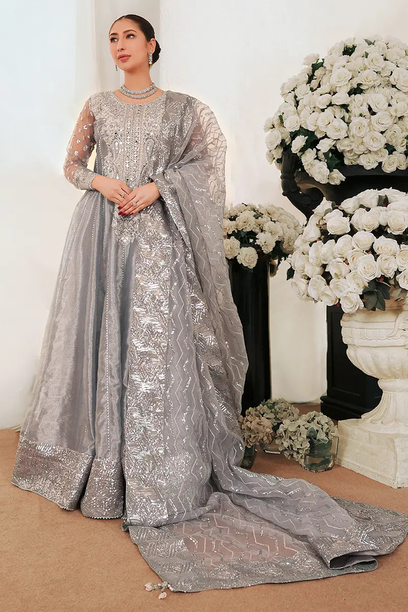 Pakistani Grey Embroidered Tissue Pishwas Dress (2-Piece) - Image 3