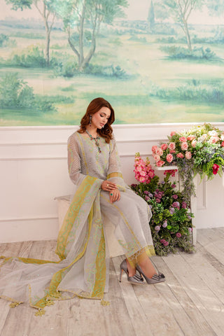 Grey Embroidered Khaddi Net Salwar Kameez (4-Piece) - Image 5