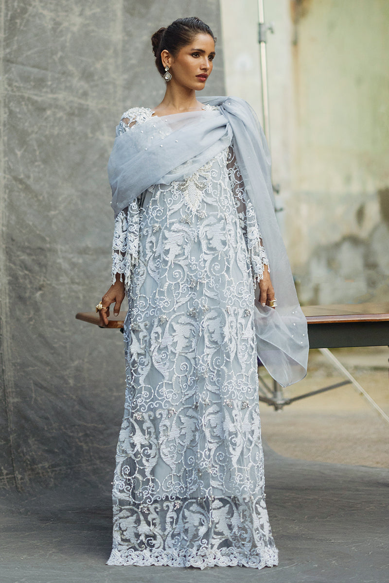 Pakistani Steel Grey Embroidered Net Salwar Kameez (3-Piece) - Image 10