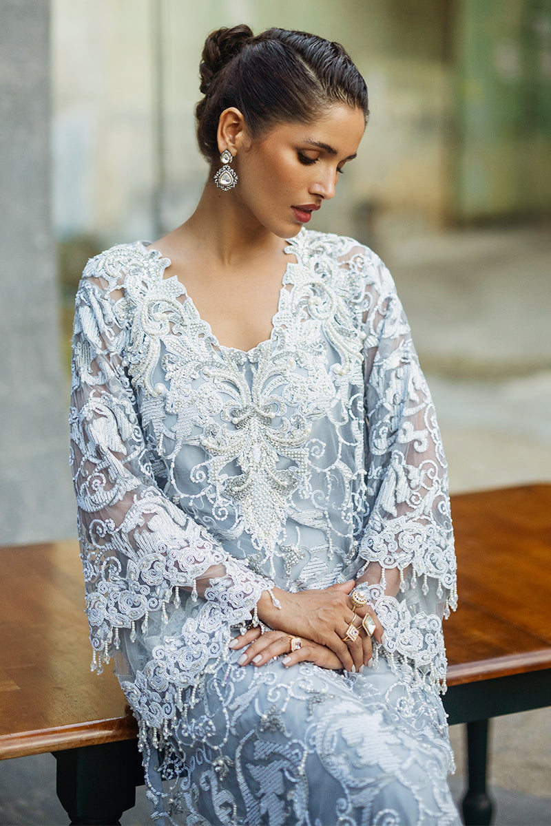 Pakistani Steel Grey Embroidered Net Salwar Kameez (3-Piece) - Image 5