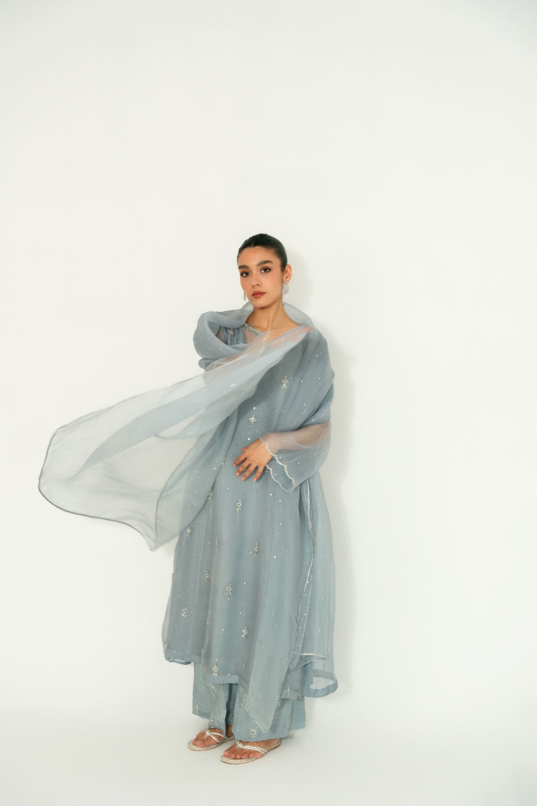 Steel Grey Hand-Embellished Organza Kameez (3-Piece) - Image 7