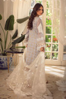 Grey Zardozi & Kaamdani Organza Salwar Kameez (3-Piece) - Image 5
