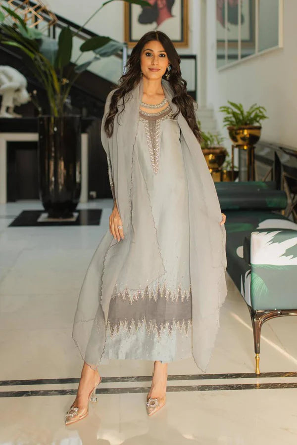 Mink Grey Embellished Raw Silk & Organza Salwar Kameez (3-Piece) - Image 1