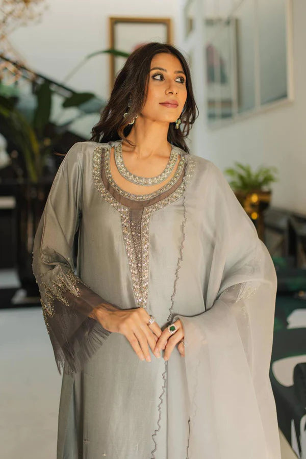 Mink Grey Embellished Raw Silk & Organza Salwar Kameez (3-Piece) - Image 3