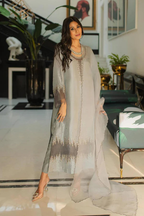 Mink Grey Embellished Raw Silk & Organza Salwar Kameez (3-Piece) - Image 5