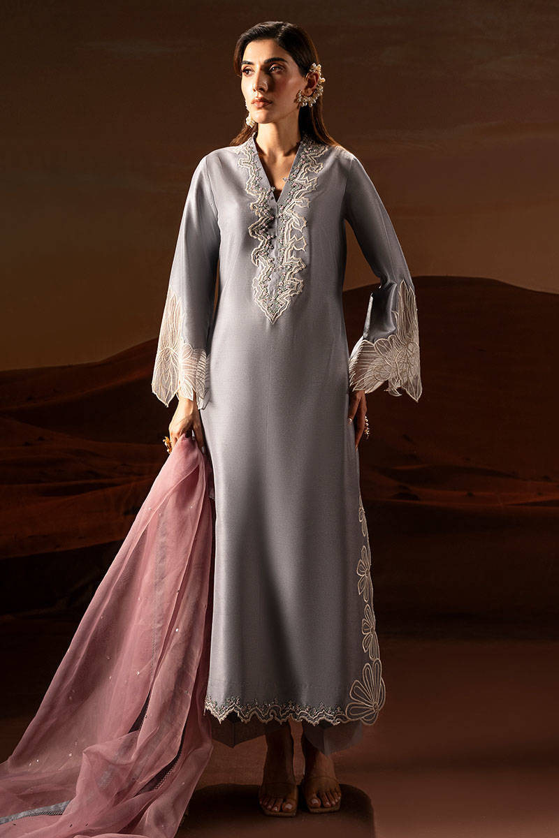 Soft Grey Embroidered Raw Silk Salwar Kameez (3-Piece) - Image 1