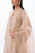 Pakistani Mouse Zardozi Pure Silk Salwar Kameez (3-Piece) - Image 4