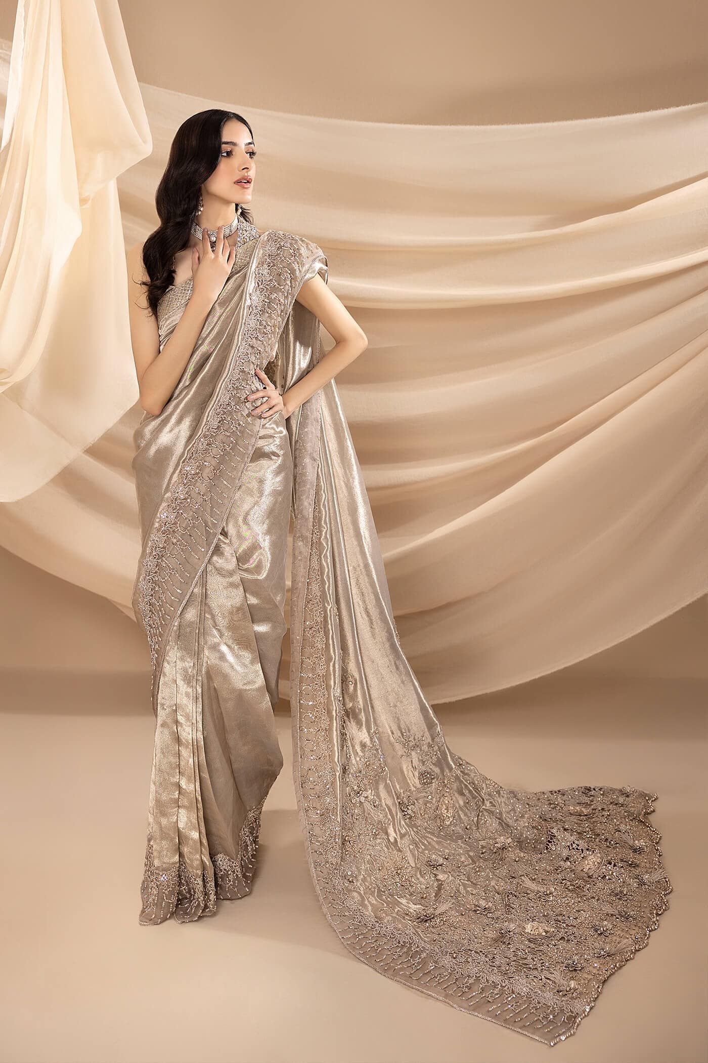 Pakistani Metallic Grey Embellished Pure Tissue Saree (2-Piece) - Image 1
