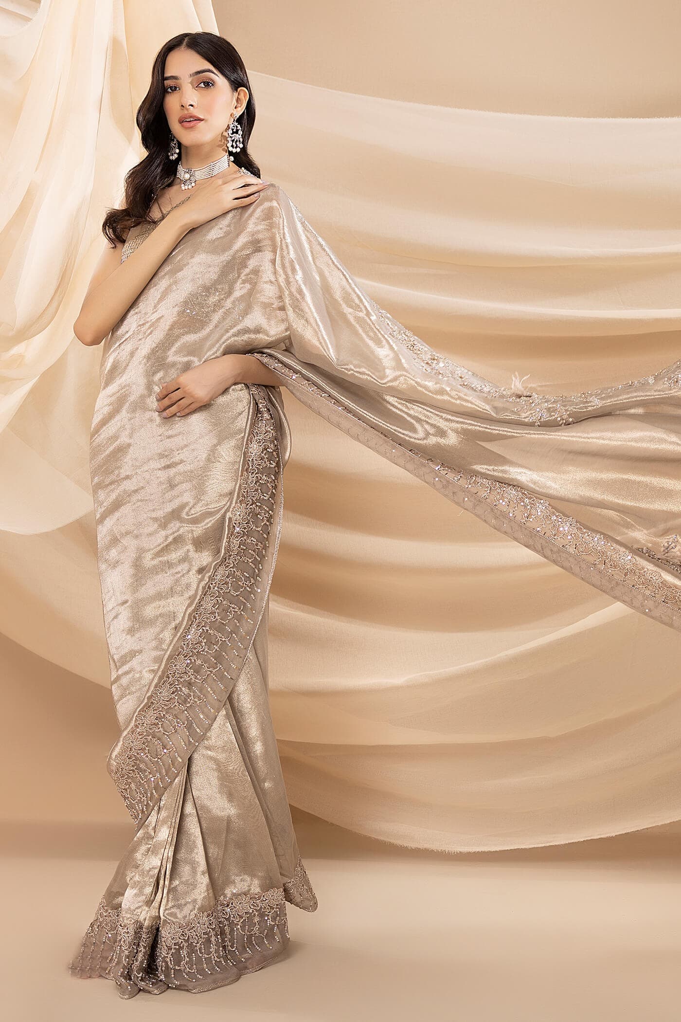 Pakistani Metallic Grey Embellished Pure Tissue Saree (2-Piece) - Image 4