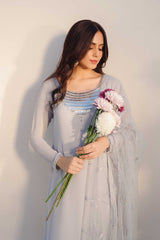 Stone Grey Crystal Georgette Salwar Kameez (3-Piece) - Image 2