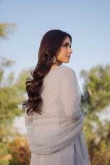 Stone Grey Crystal Georgette Salwar Kameez (3-Piece) - Image 7