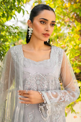 Light Grey Sequinned Net Salwar Kameez (3-Piece) - Image 3
