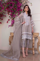 Pakistani Grey Embroidered Organza Salwar Kameez (3-Piece) - Image 5