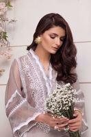 Pakistani Grey Embroidered Organza Salwar Kameez (3-Piece) - Image 8