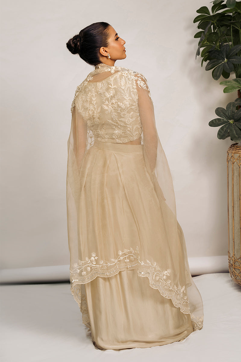 Pakistani Vanilla Embroidered Organza Cape Dress (3-Piece) - Image 2