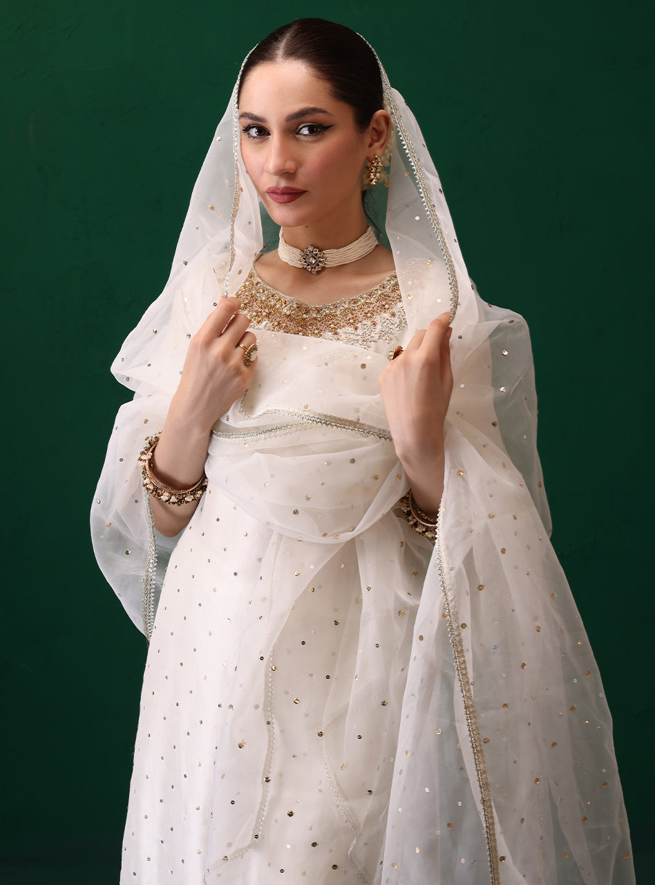Ivory Embellished Rawsilk Organza Gharara (3-Piece) - Image 6