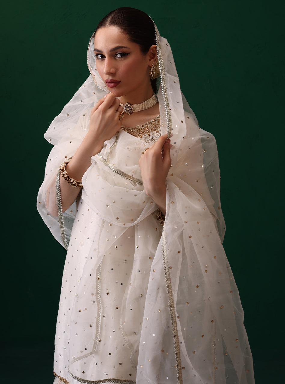 Ivory Embellished Rawsilk Organza Gharara (3-Piece) - Image 7