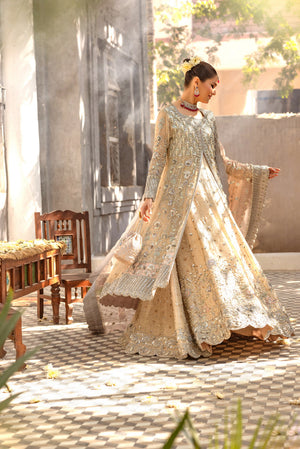 Ivory Embroidered Maisuri Bridal Gown (2-Piece) - Image 4