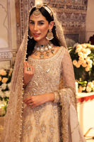 Pakistani Off-White Hand-Worked Net Bridal Gown (3-Piece) - Image 4