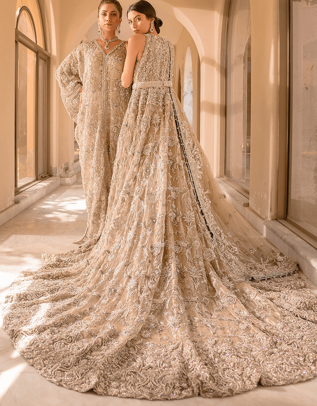 Ivory Beige Embellished Net Gown (2-Piece) - Image 4