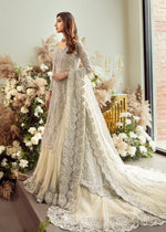Silver Ivory Embroidered Net Bridal Gown (2-Piece) - Image 5