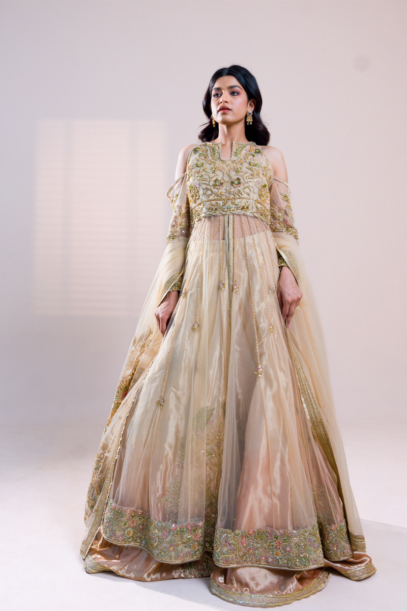 Pakistani Off-White Embroidered Tissue Gown (2-Piece) - Image 1