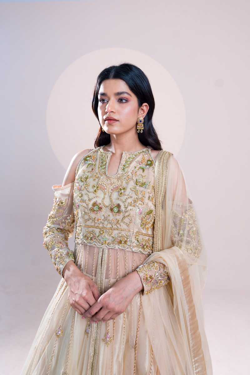 Pakistani Off-White Embroidered Tissue Gown (2-Piece) - Image 2