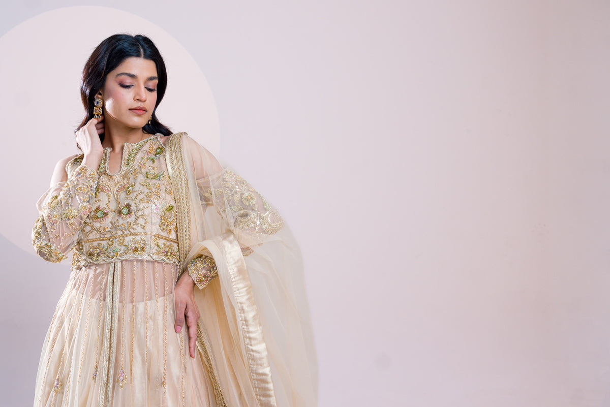 Pakistani Off-White Embroidered Tissue Gown (2-Piece) - Image 5