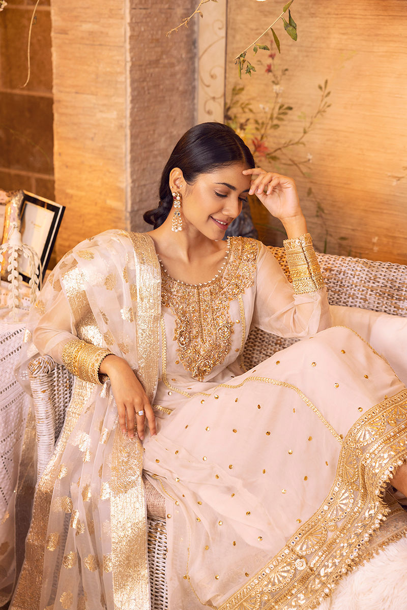 Ivory Handworked Chiffon Kalidaar (3-Piece) - Image 2