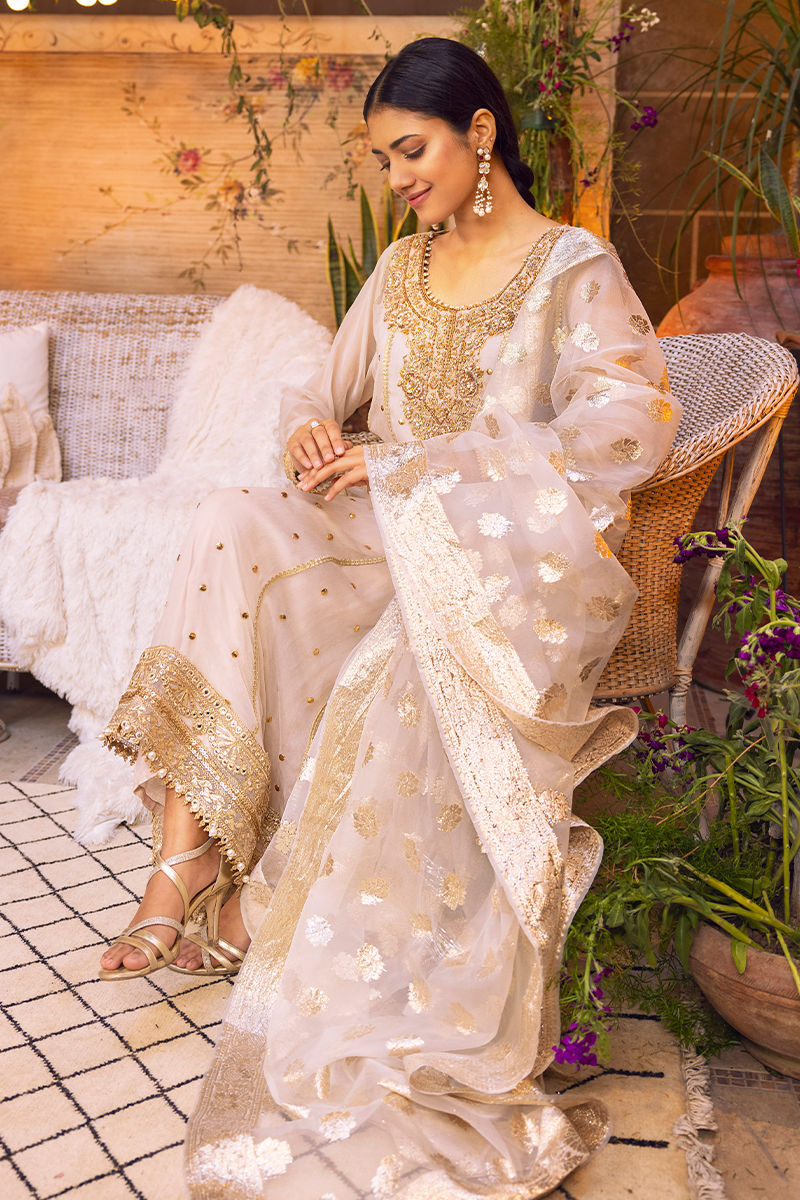 Ivory Handworked Chiffon Kalidaar (3-Piece) - Image 3