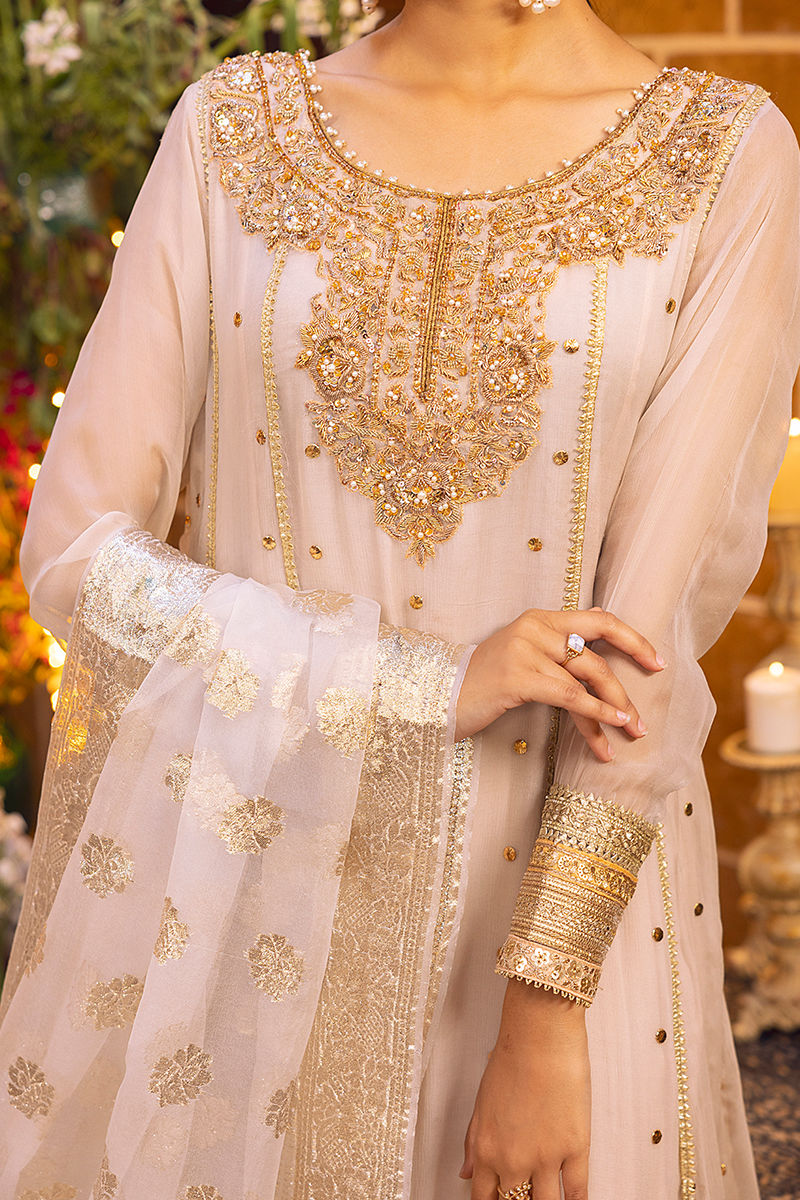 Ivory Handworked Chiffon Kalidaar (3-Piece) - Image 4