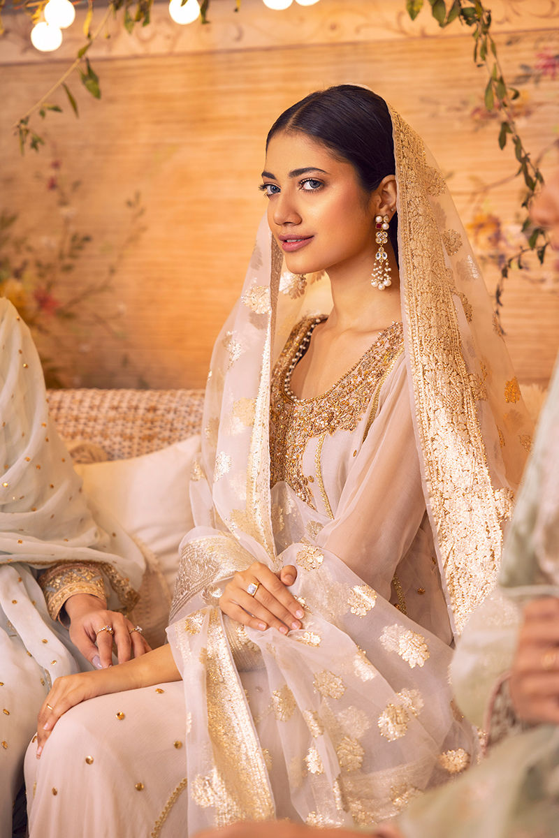 Ivory Handworked Chiffon Kalidaar (3-Piece) - Image 5