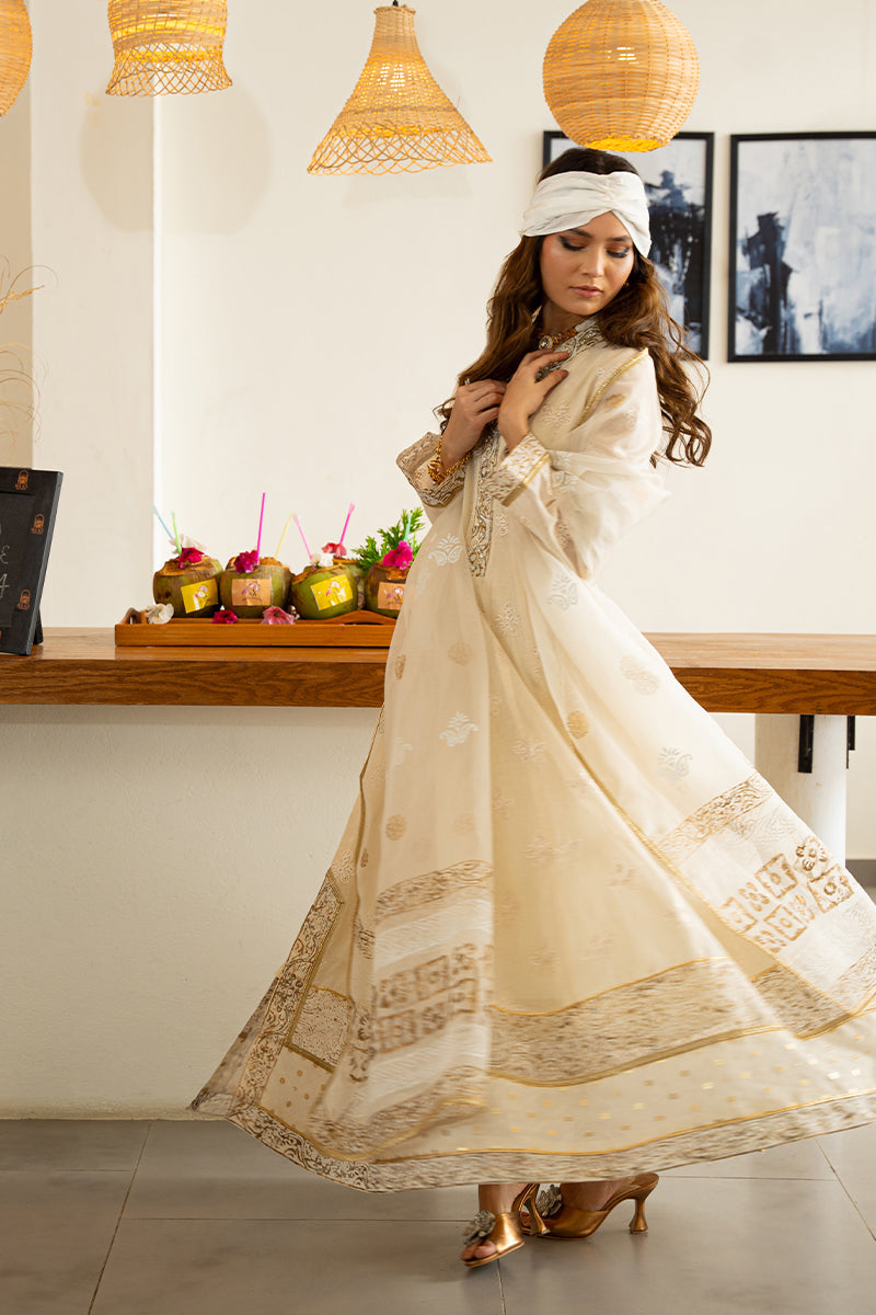 Off-White Block-Printed Cotton Organza Kalidar (3-Piece) - Image 4