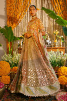 Pakistani Pastel Zardozi Gota Net Kalidar Dress (2-Piece) - Image 3