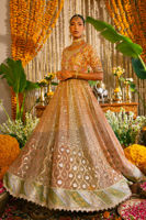 Pakistani Pastel Zardozi Gota Net Kalidar Dress (2-Piece) - Image 7