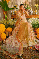 Pakistani Pastel Zardozi Gota Net Kalidar Dress (2-Piece) - Image 9