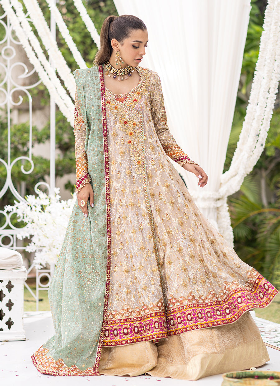 Pakistani Ivory Nude Embellished Tulle Kalidaar Dress (3-Piece) - Image 2