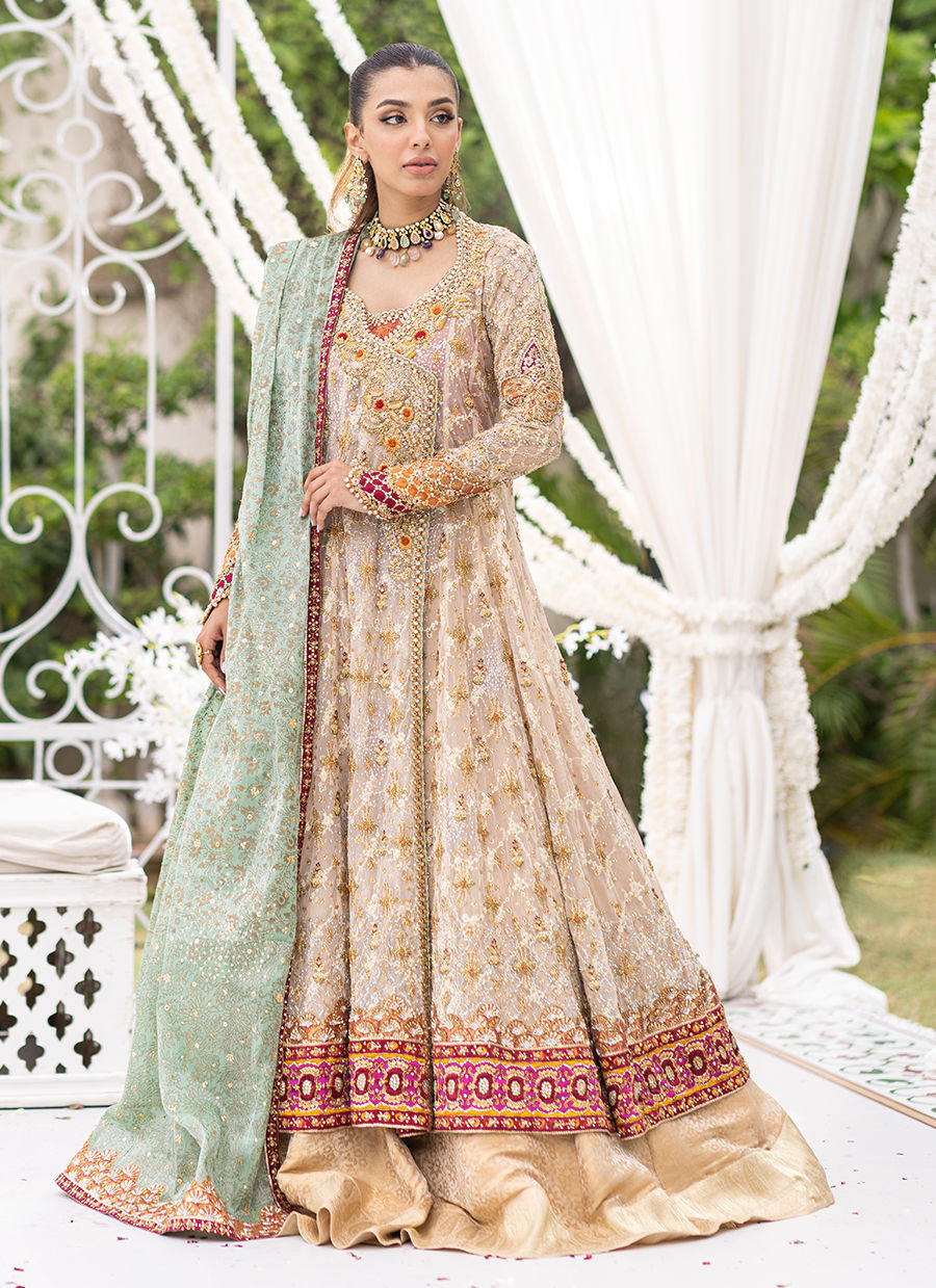 Pakistani Ivory Nude Embellished Tulle Kalidaar Dress (3-Piece) - Image 3