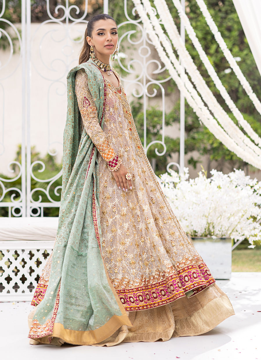 Pakistani Ivory Nude Embellished Tulle Kalidaar Dress (3-Piece) - Image 5