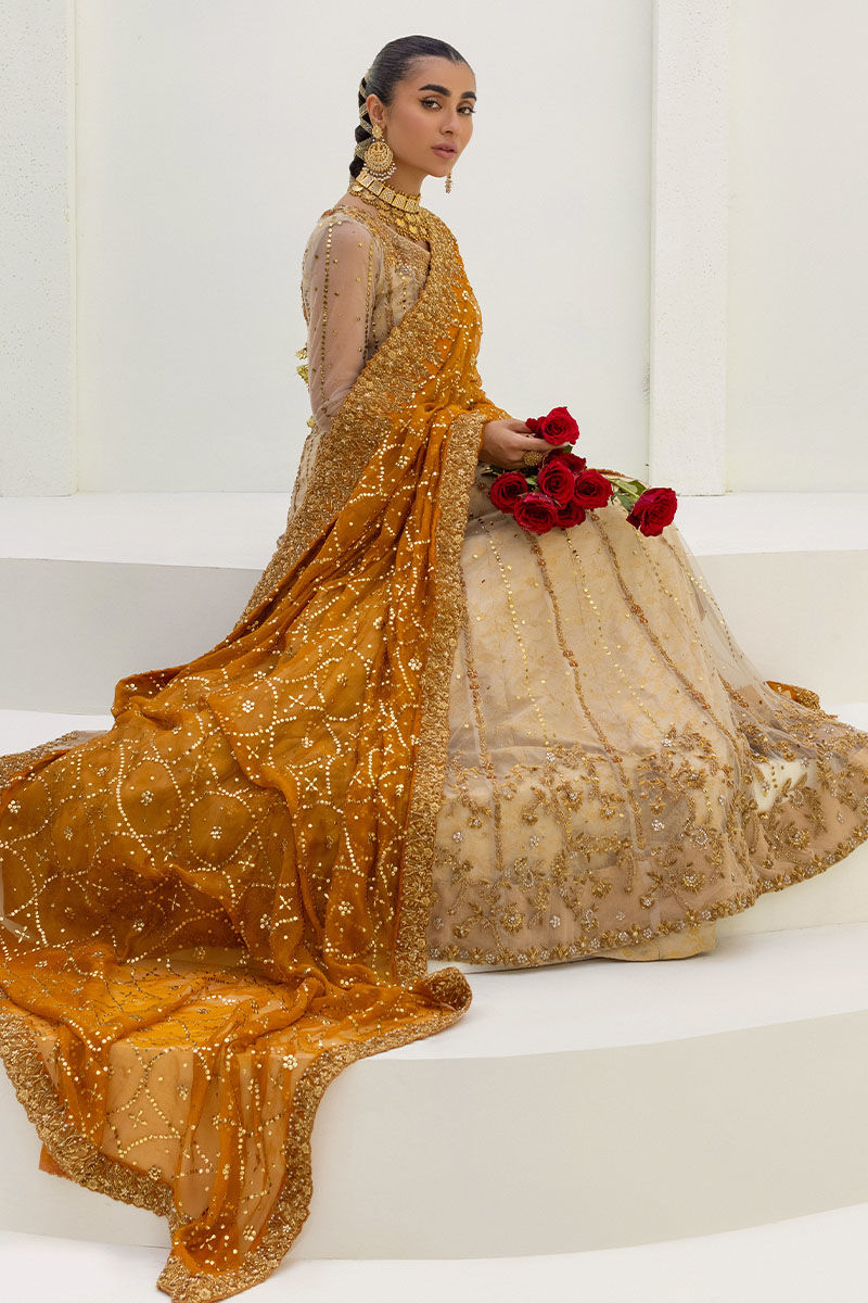 Pakistani Ivory & Rust Embellished Net Kalidar Lehenga (3-Piece) - Image 4