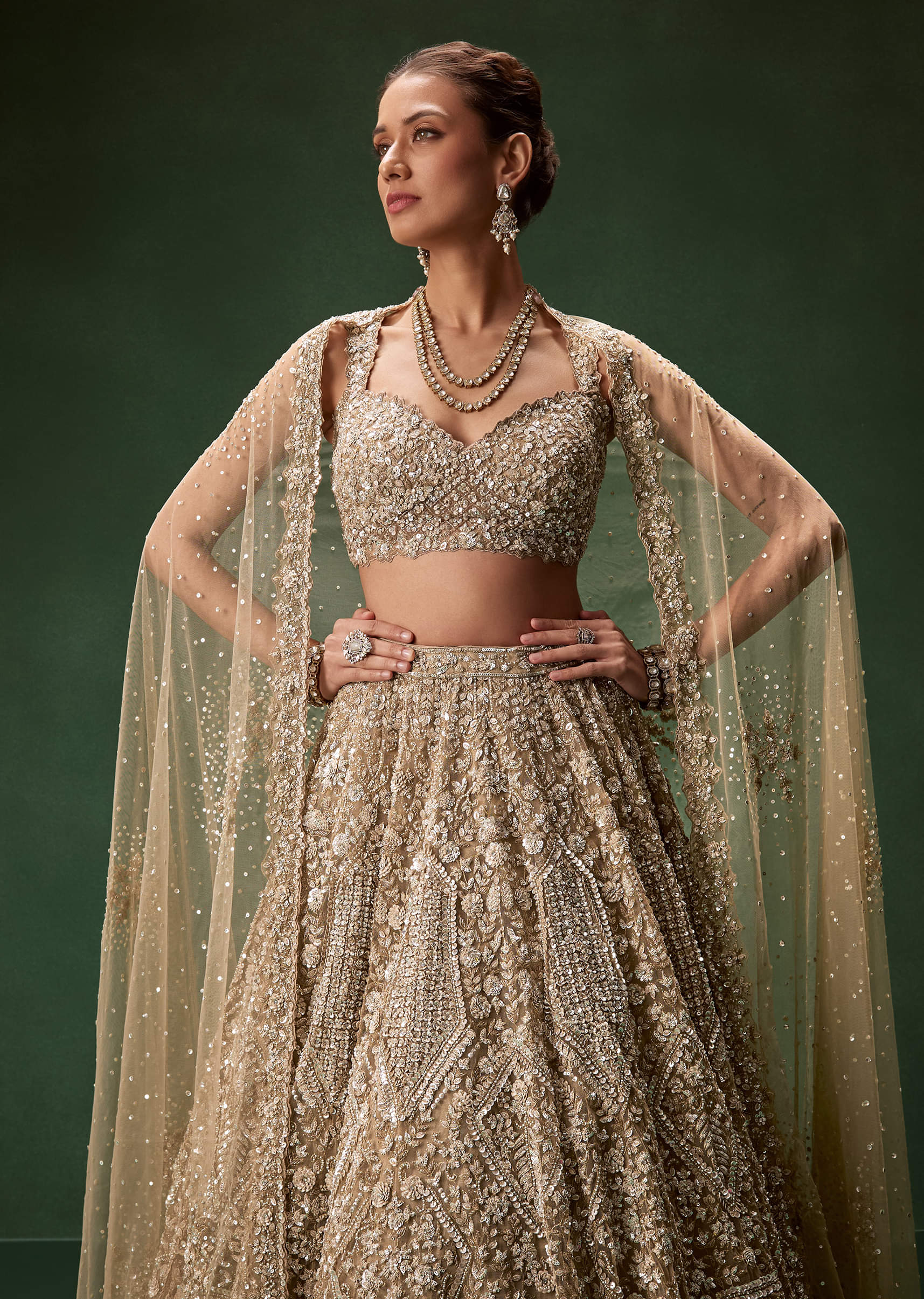 Nude Embellished Net Bridal Lehenga (3-Piece) - Image 6