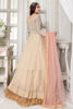 Pakistani Ivory & Peach Zari Net A-Line Lehenga (3-Piece) - Image 3