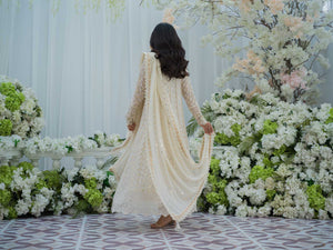 Ivory Embroidered Chiffon Pishwas (3-Piece) - Image 4