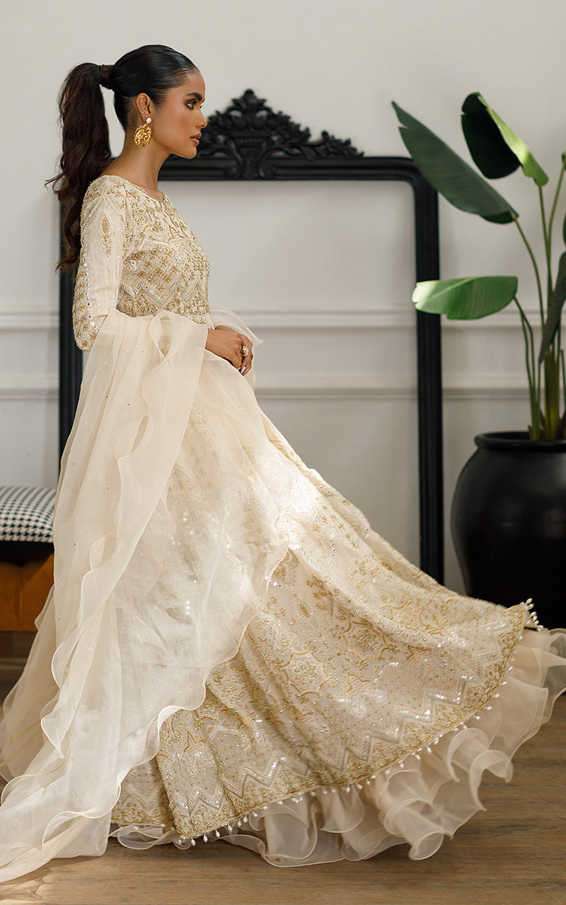 Ivory Embroidered Chiffon Pishwas Dress (2-Piece) - Image 6